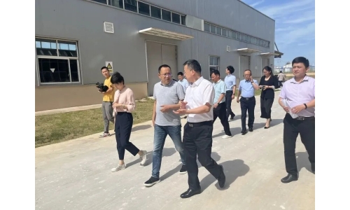 市委常委、副市长吕栋来公司调研