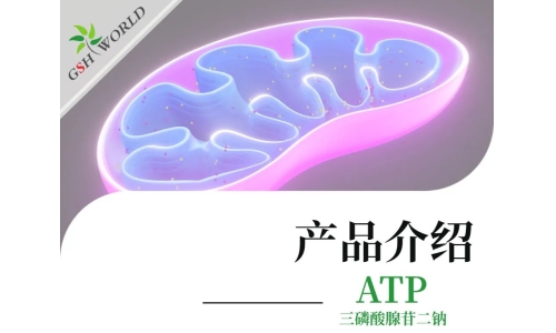 三磷酸腺苷二钠：生命能量的化学密码