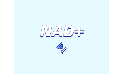 烟酰胺如何控制皮肤老化：NAD/NADH与NMN的关键作用